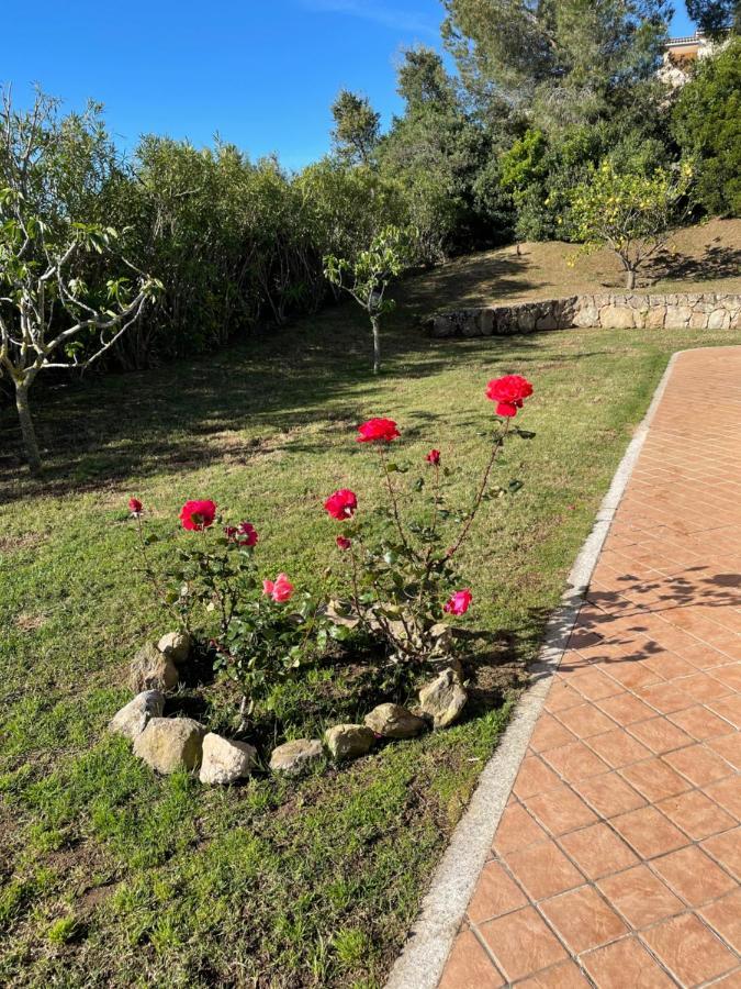 Villa Stazzu Sa Murta Cugnana Exteriér fotografie